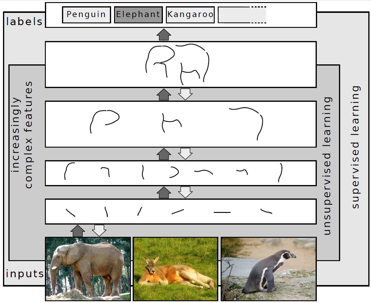 Abstract deep-learning network visualization